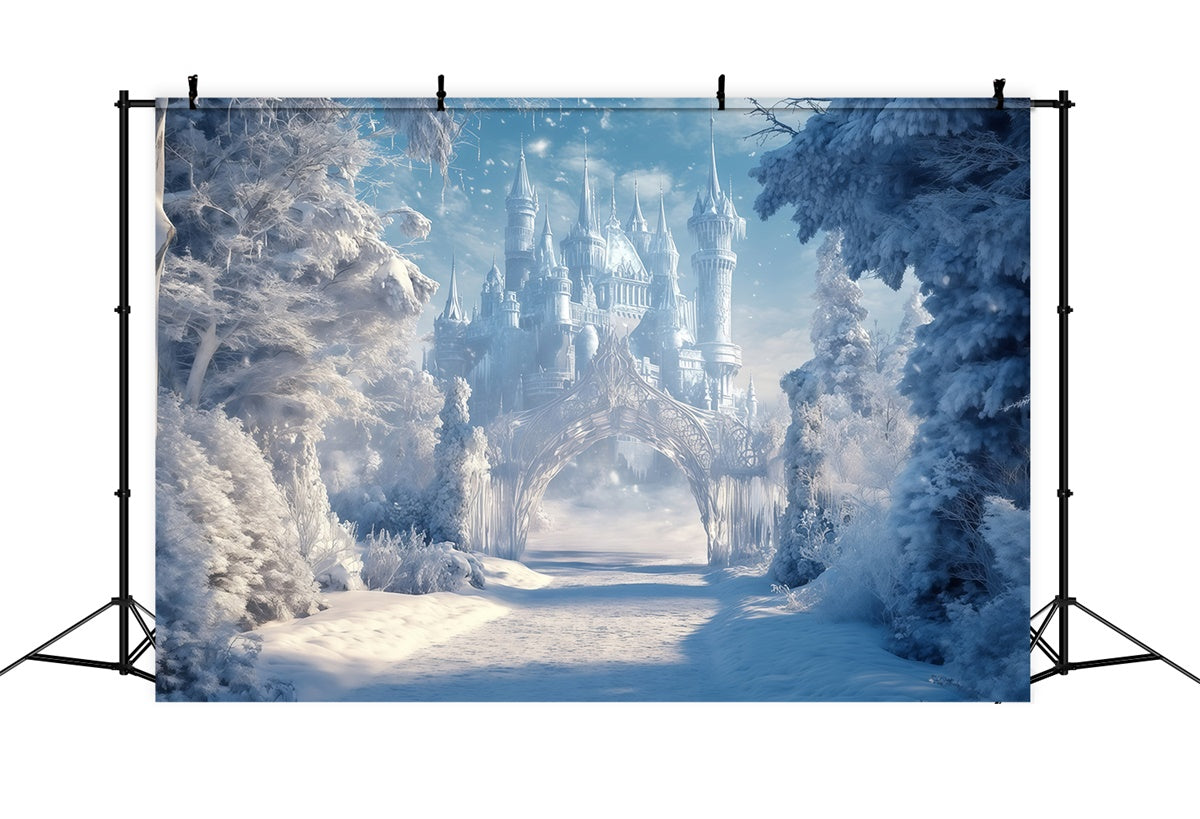 Toile de fond Château Hiver Sentier Royaume Enneigé MRR7-156