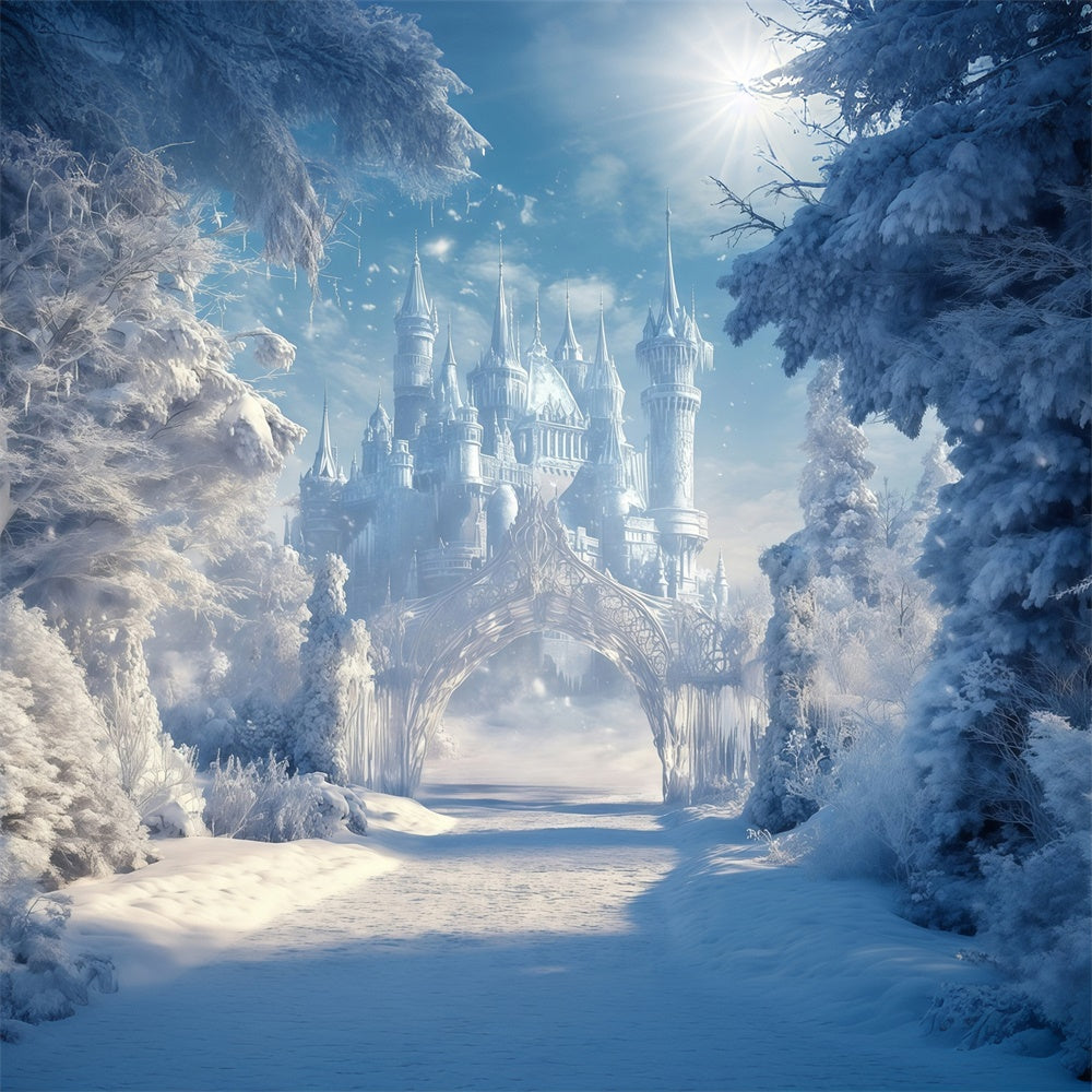Toile de fond Château Hiver Sentier Royaume Enneigé MRR7-156