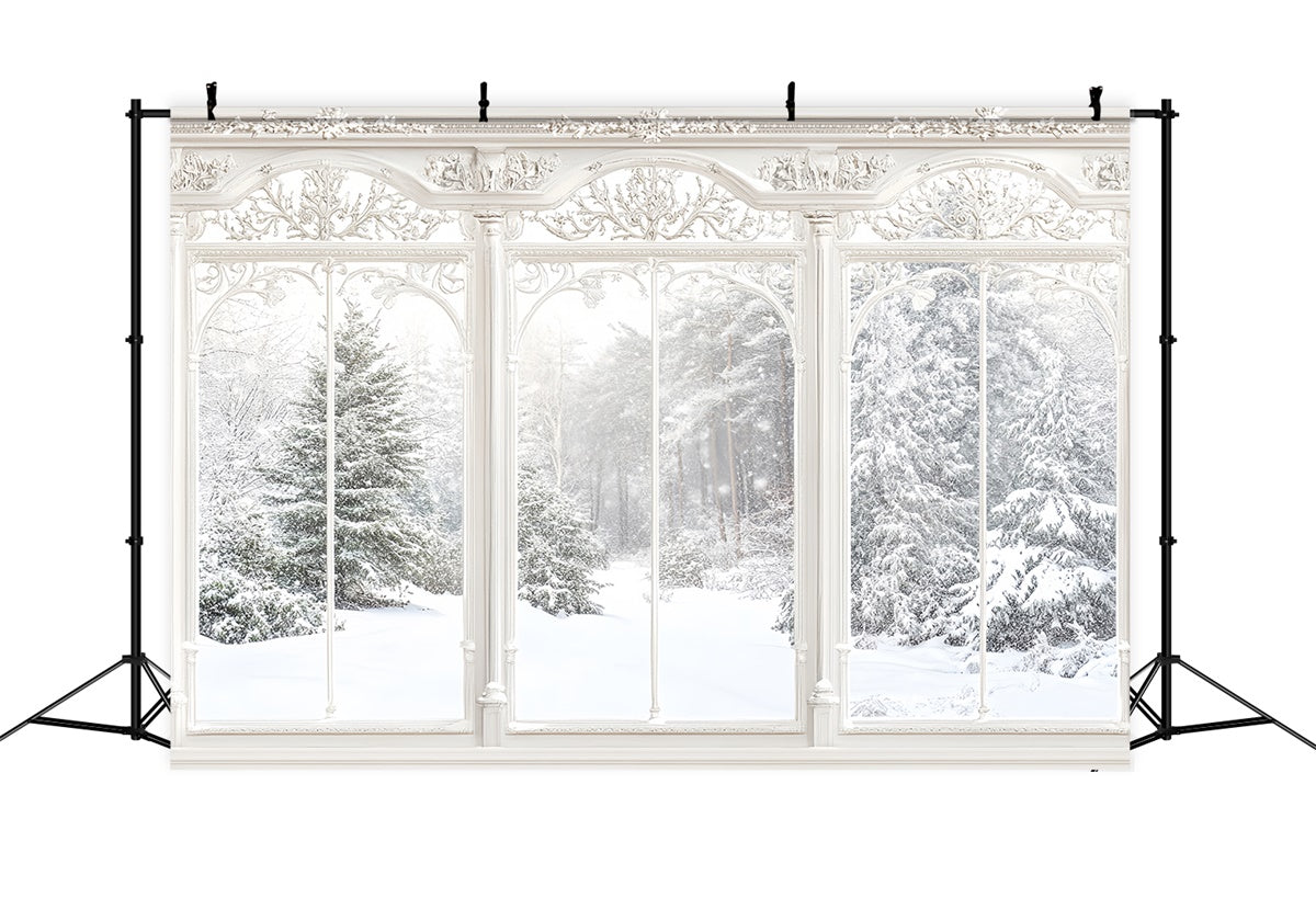 Toile de fond Hiver Vue Fenêtre Ornée MRR7-159