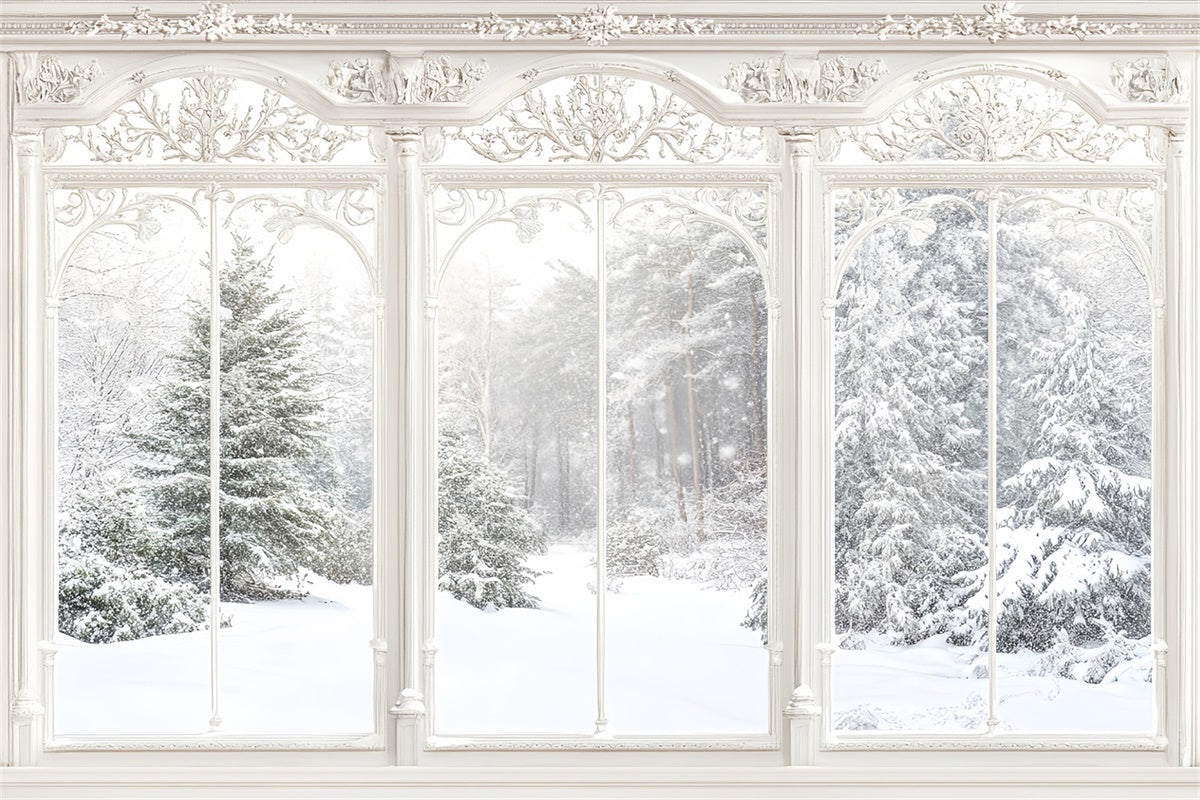Toile de fond Hiver Vue Fenêtre Ornée MRR7-159