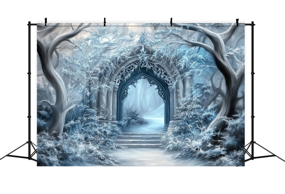 Toile de fond Pays des Merveilles Hiver Portail Gothique Givré MRR7-160
