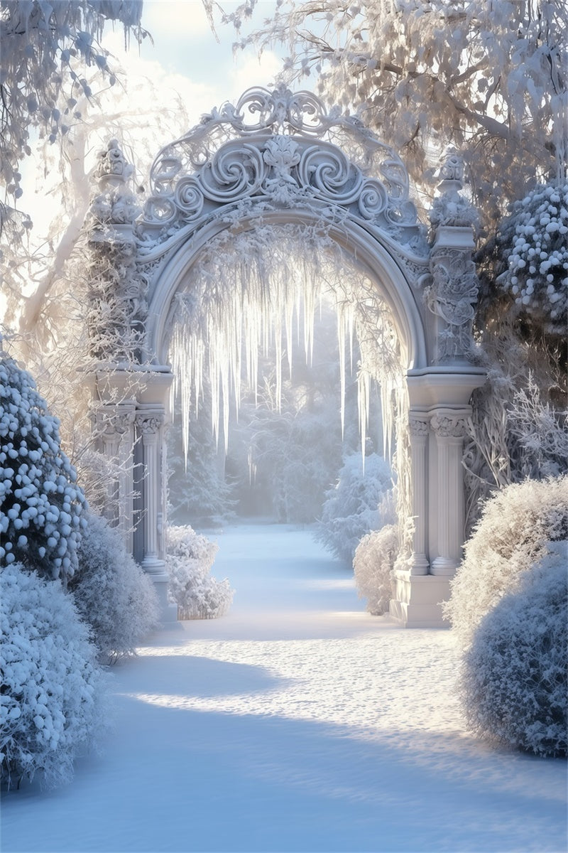 Toile de fond Neige Hiver Arche de Jardin Gelé MRR7-175