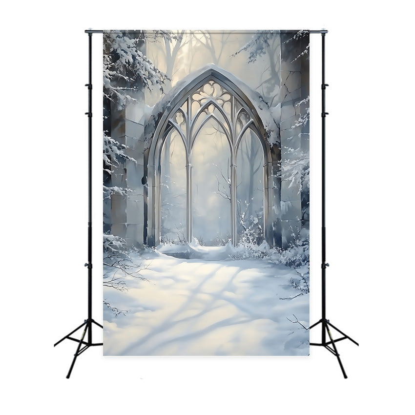 Toile de fond Hiver Arche Gothique Givrée MRR7-179