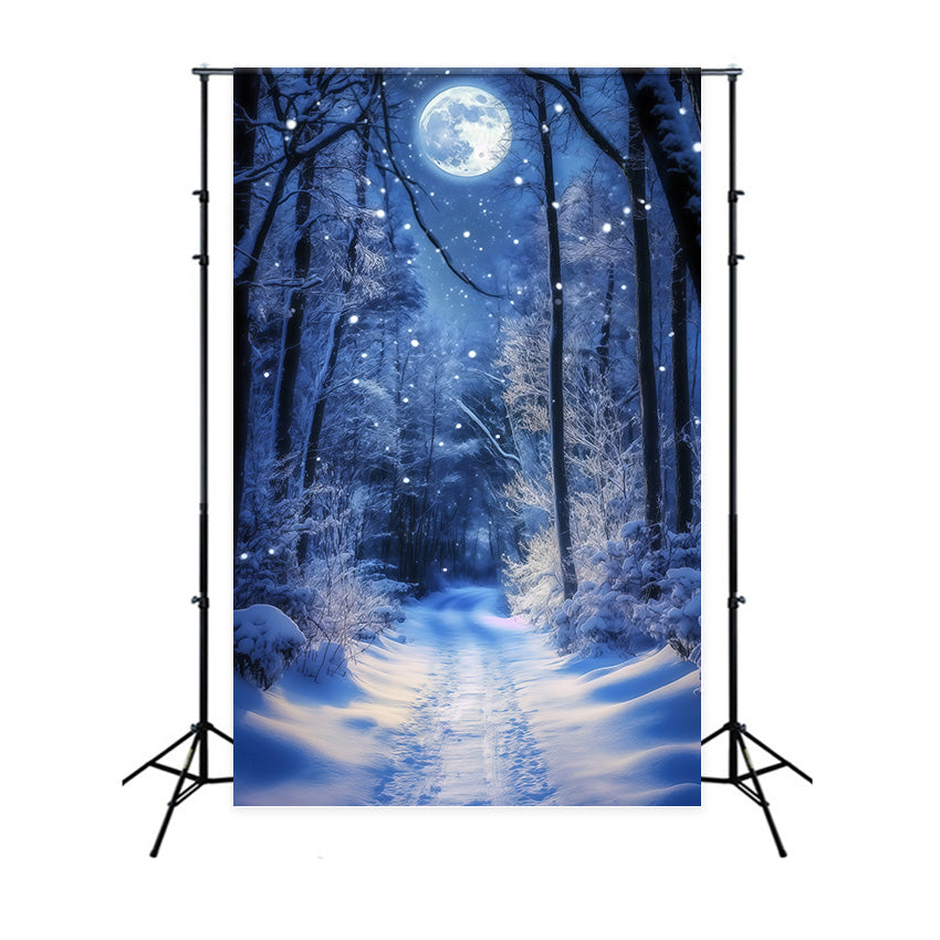 Toile de fond Forêt Hiver Sentier Lune Lumineuse MRR7-180