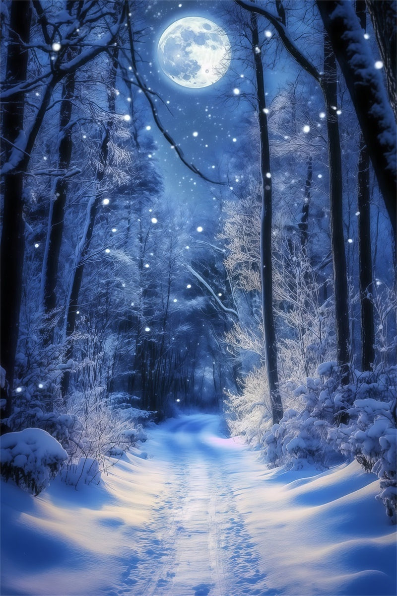 Toile de fond Forêt Hiver Sentier Lune Lumineuse MRR7-180