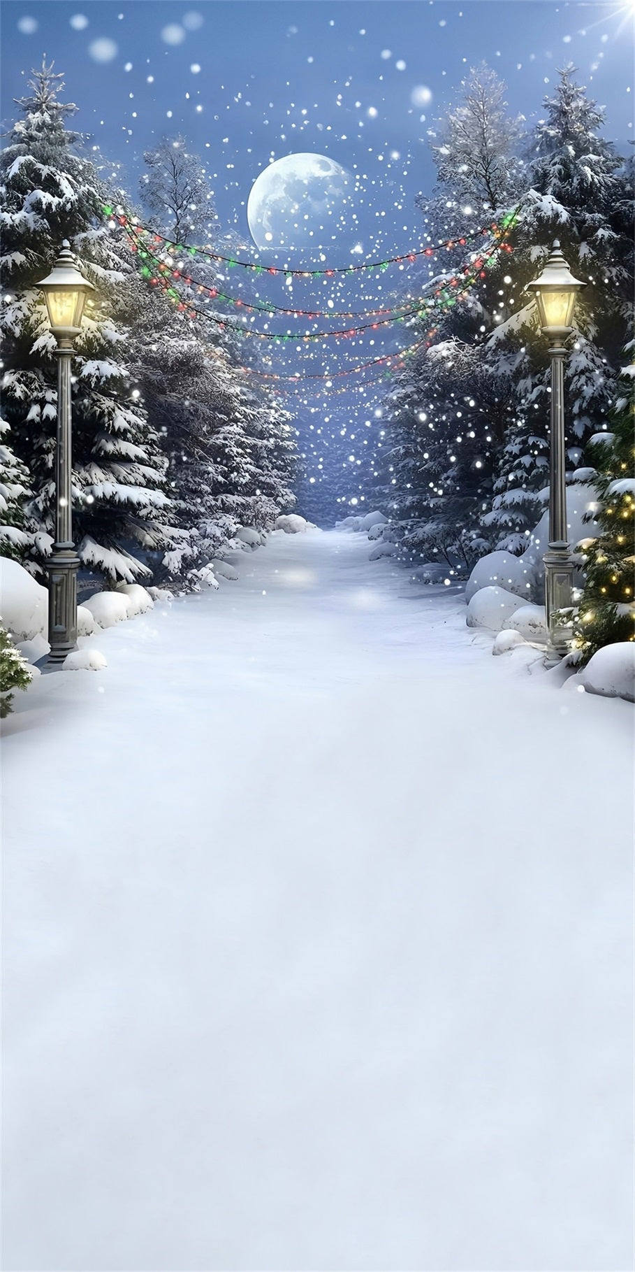Toile de fond Noël Sentier de Cèdres Lumières Colorées Nuit Neigeuse MRR8-116