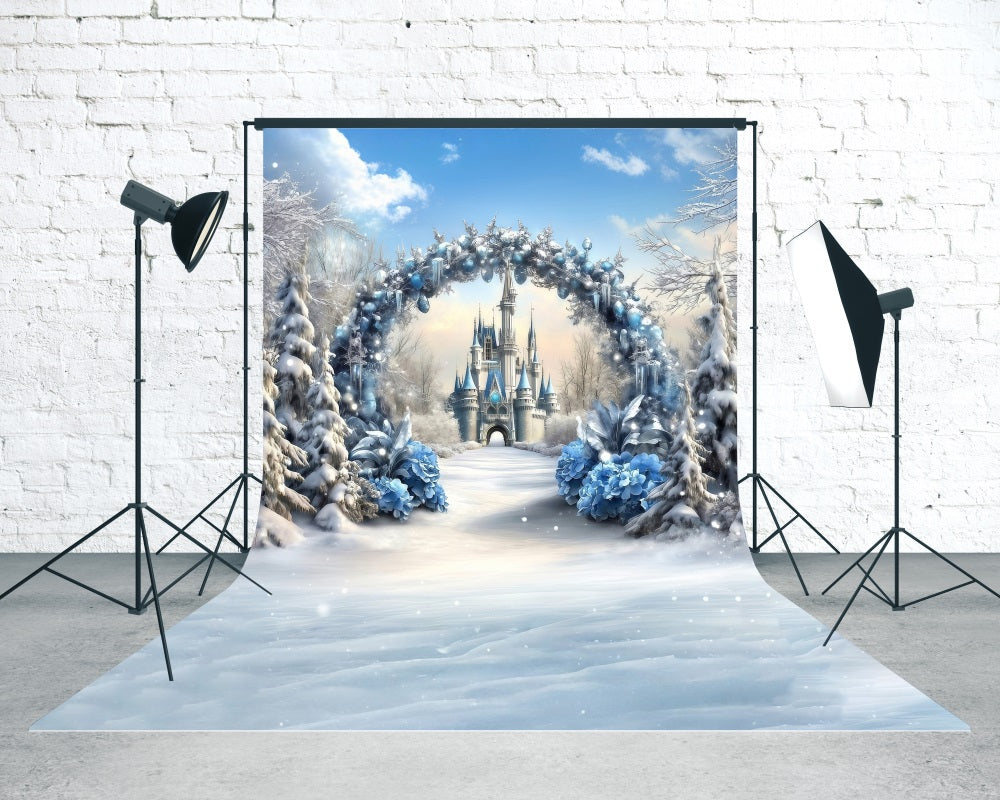 Toile de fond photo Noël Entrée Château et Arche Fleur Bleues MRR8-119