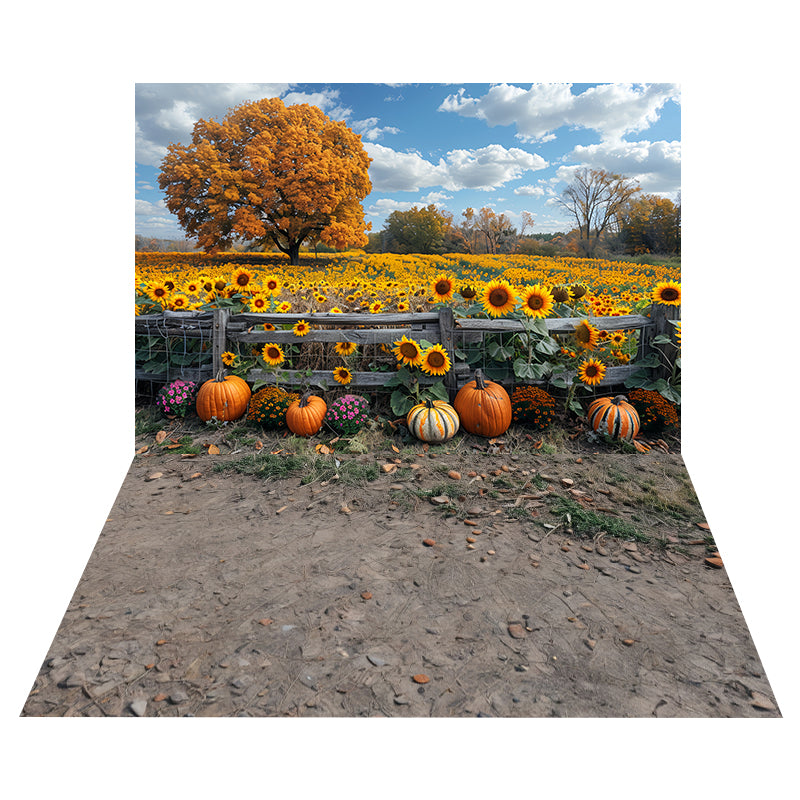 Toile de fond Champ Tournesols Citrouilles + Sol Roche Terreux MRR8-161