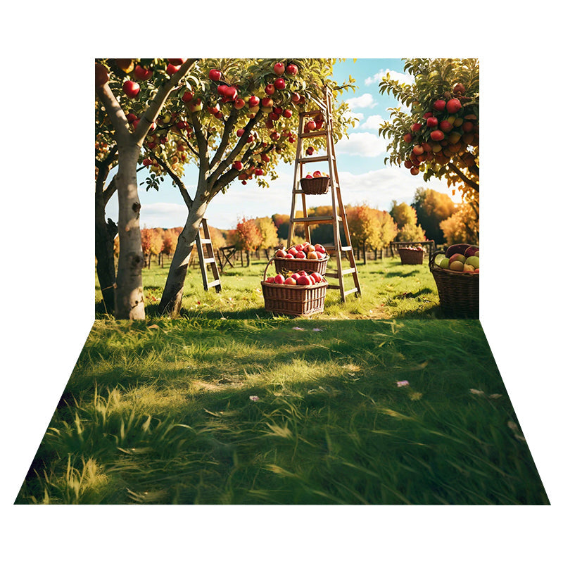 Toile de fond Verger Récolte Pommes + Sol Prairie Ensoleillée MRR8-169