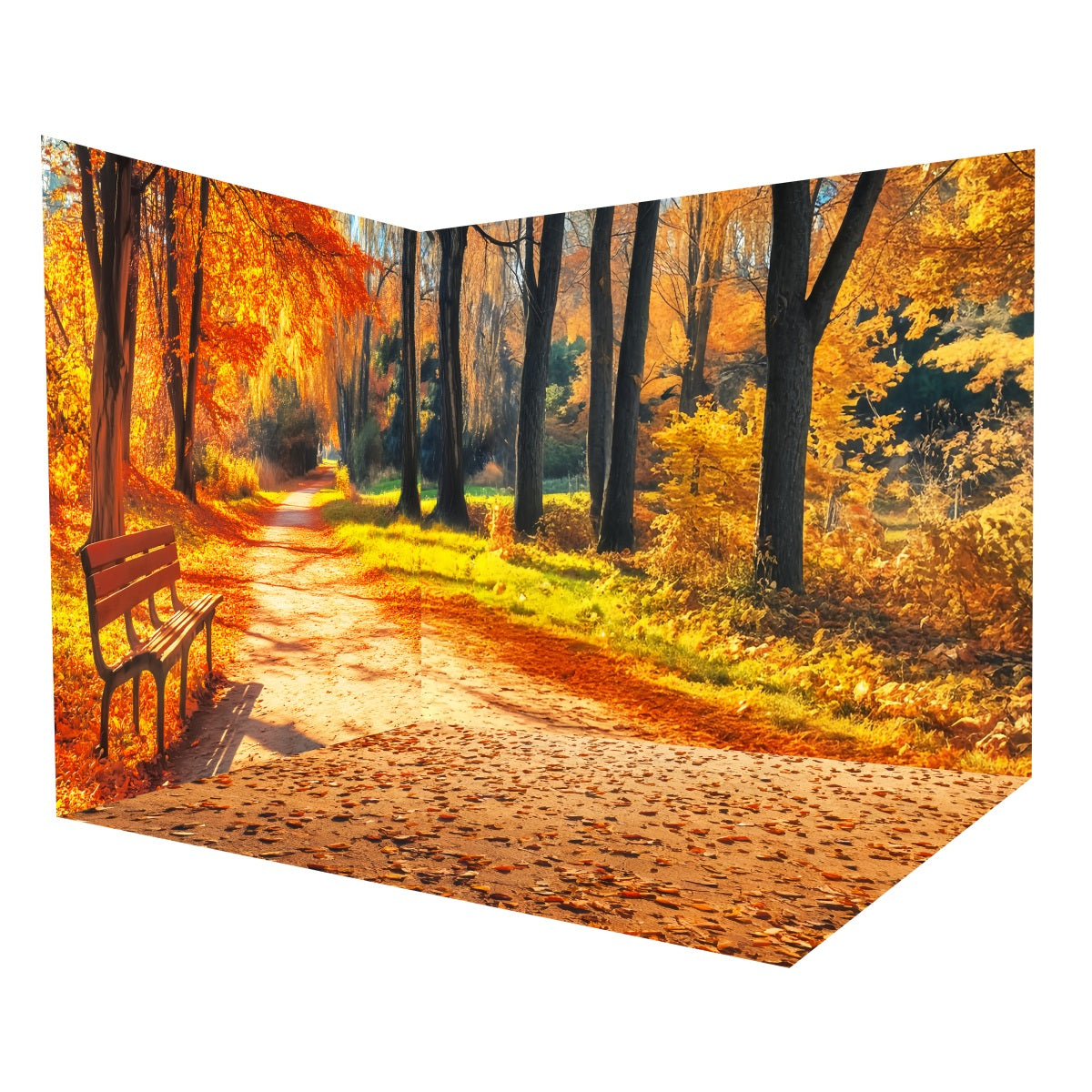 Ensemble de Salle Automne Forêt Banc Sentier Parc MRR8-224