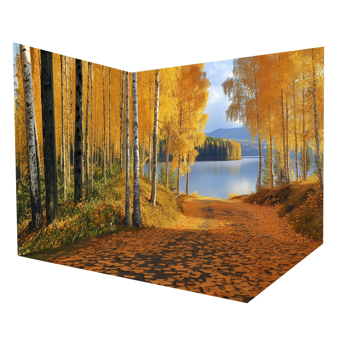 Ensemble de Salle Automne Forêt Bouleaux Dorés Sentier Lac MRR8-228