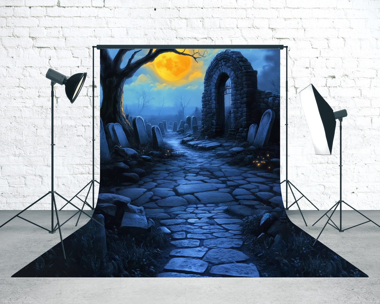 Toile de fond Sweep Halloween Cimetière Nuit au Clair de Lune MRR8-48