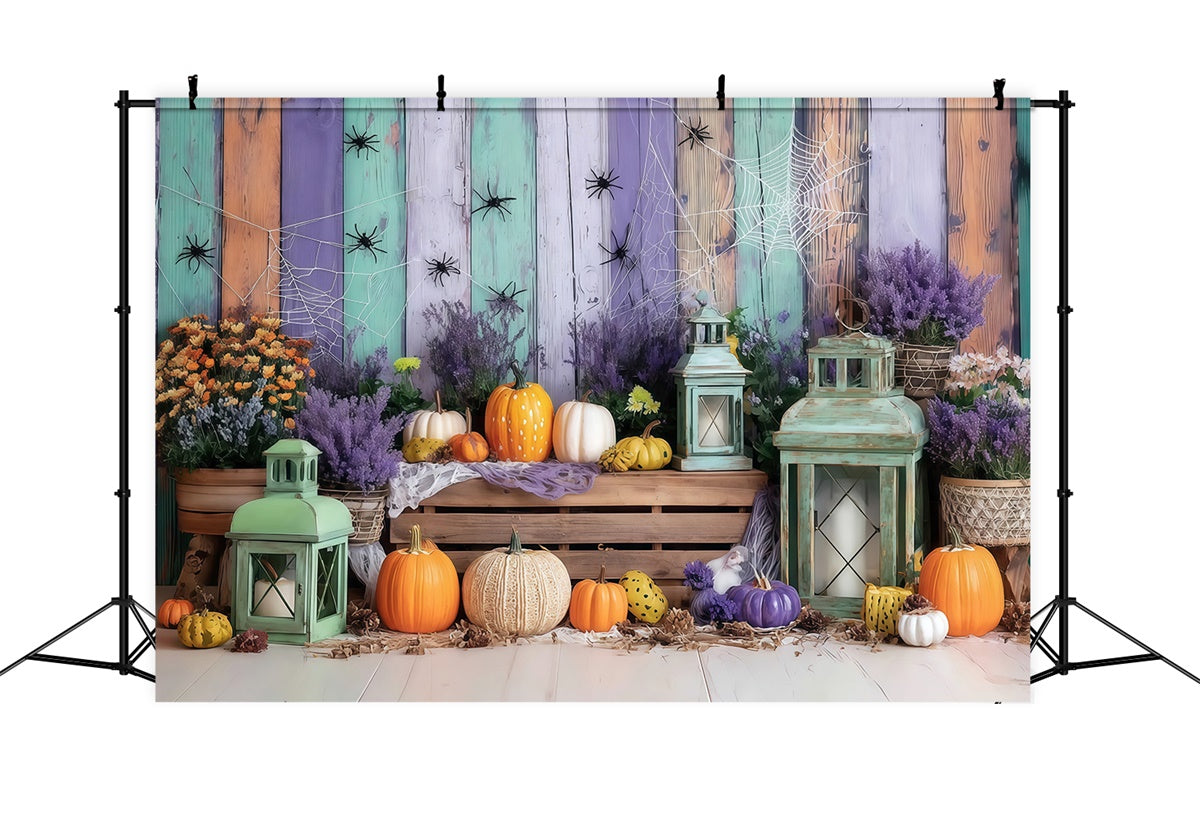 Fond de photo halloween Mur Coloré Citrouille et Araignée MRR8-5