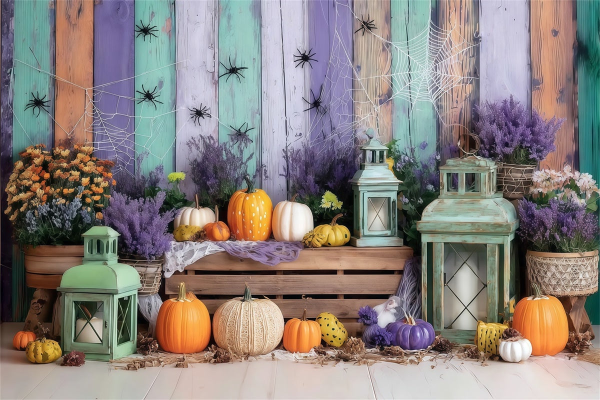 Fond de photo halloween Mur Coloré Citrouille et Araignée MRR8-5