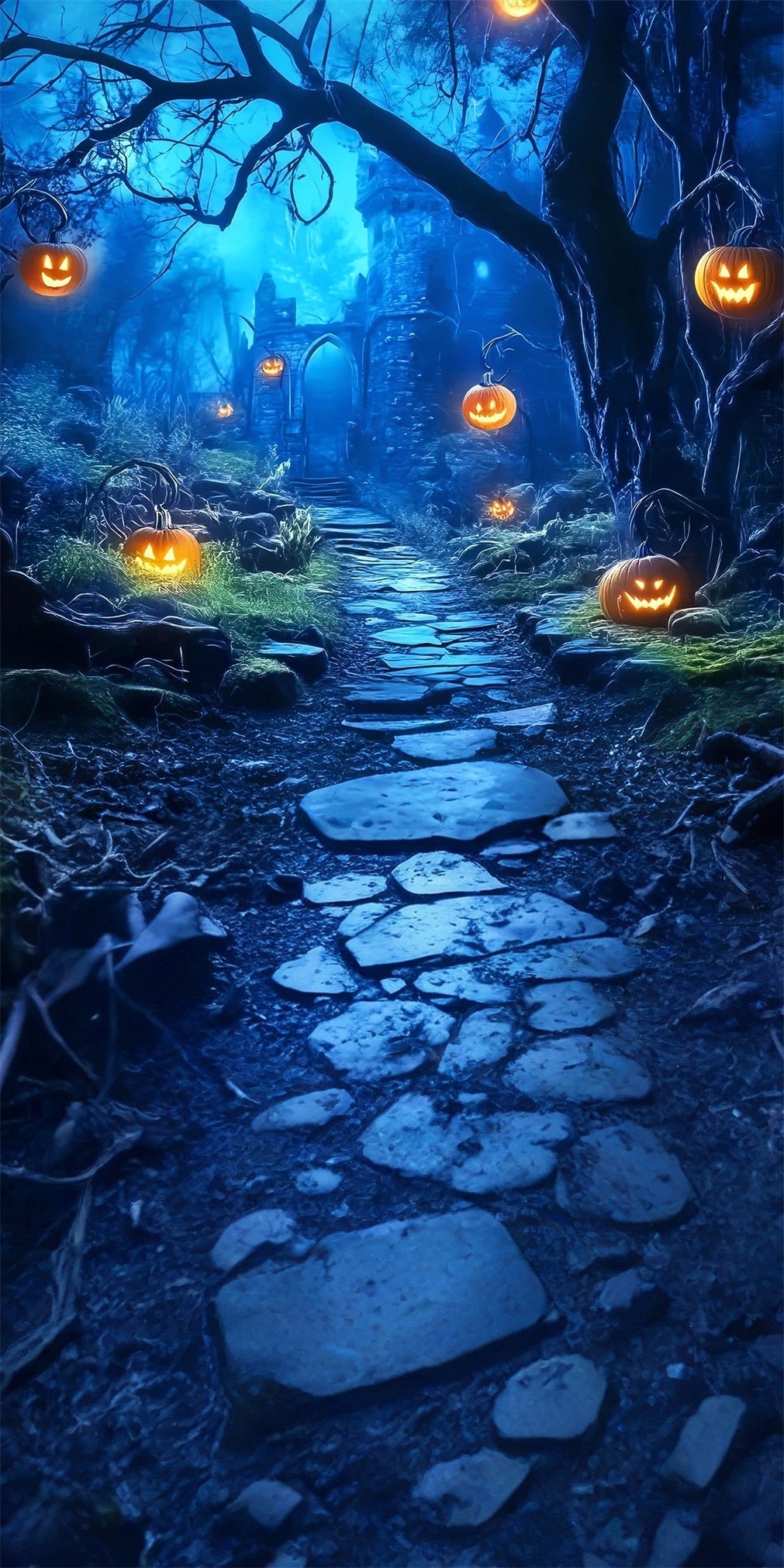 Toile de fond Sweep Halloween Effrayant Lumières Citrouilles Sentier Forêt Sombre MRR8-58