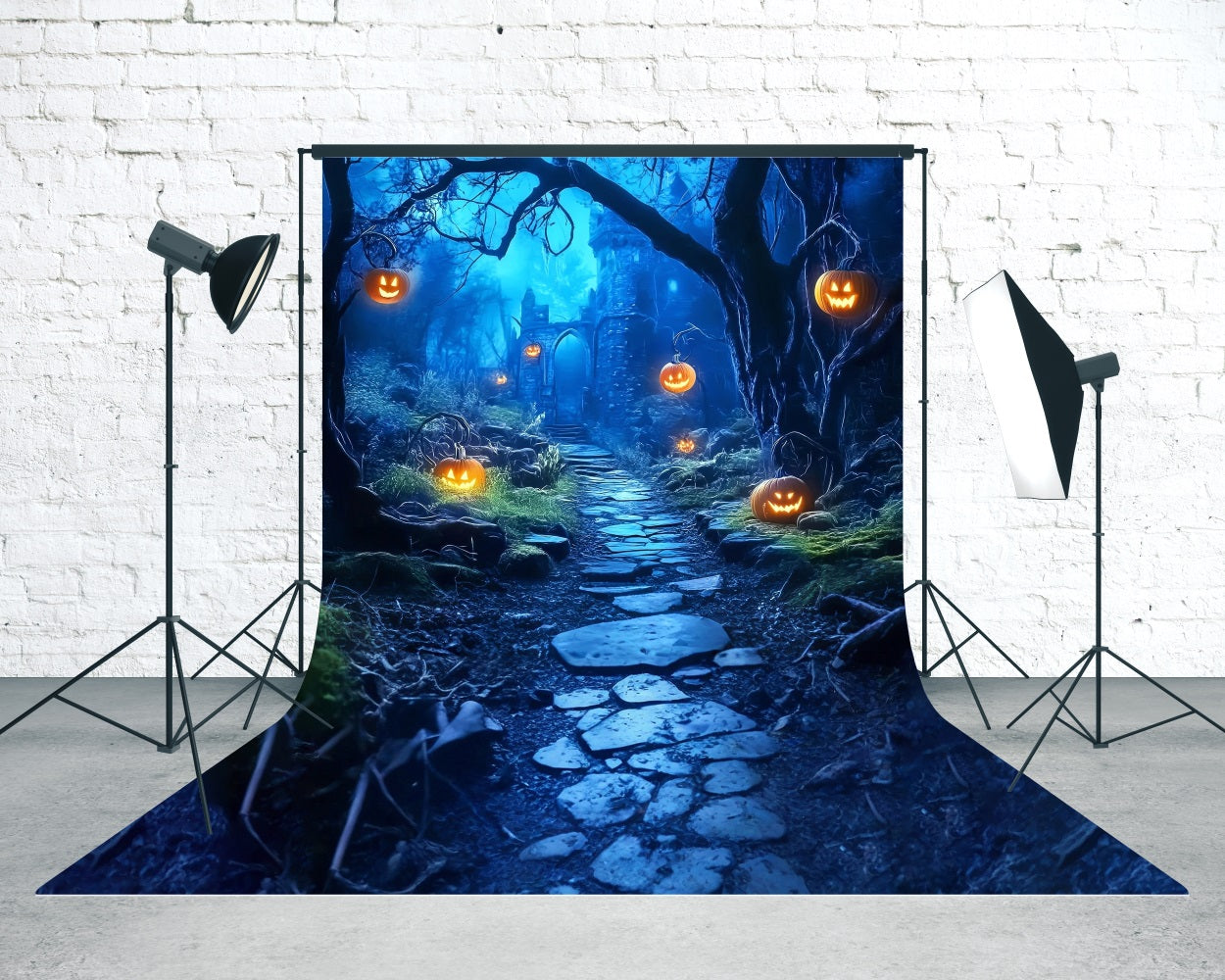 Toile de fond Sweep Halloween Effrayant Lumières Citrouilles Sentier Forêt Sombre MRR8-58