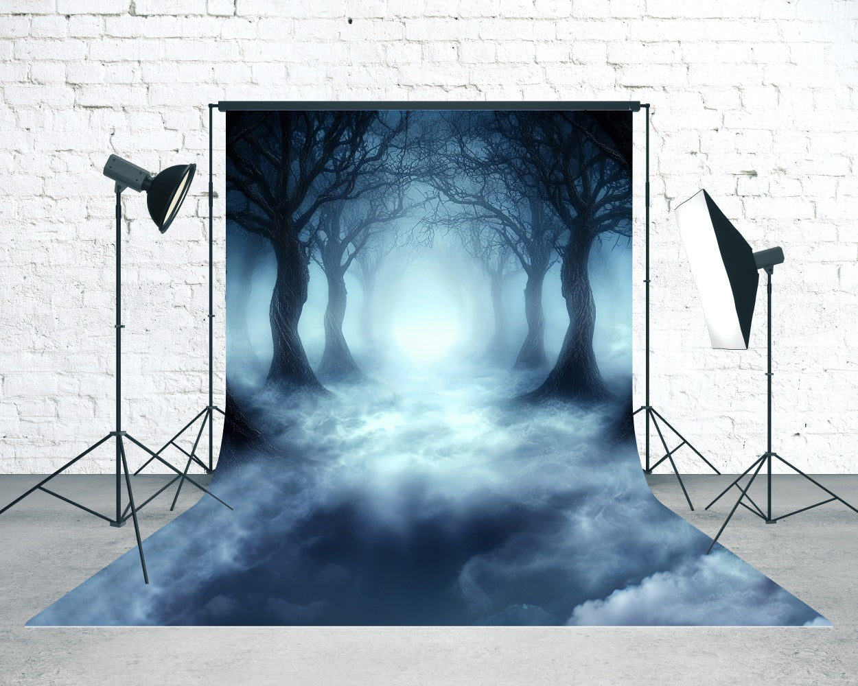 Toile de fond Sweep Halloween Photo Forêt Noire Brumeuse Effrayante MRR8-66