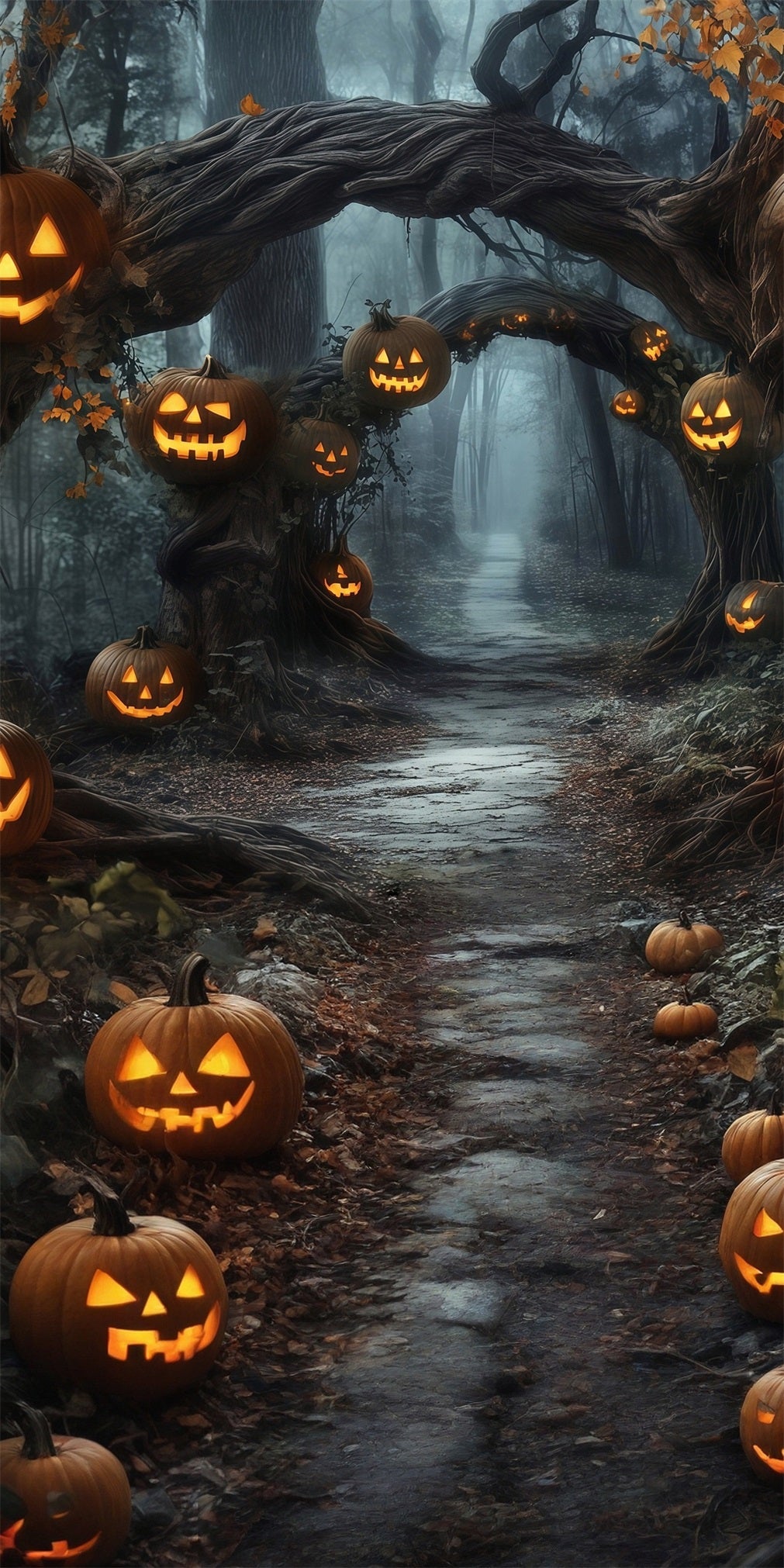 Toile de fond Sweep Halloween Photo Lumières Citrouille Arches de Vignes Sentier en Forêt MRR8-69
