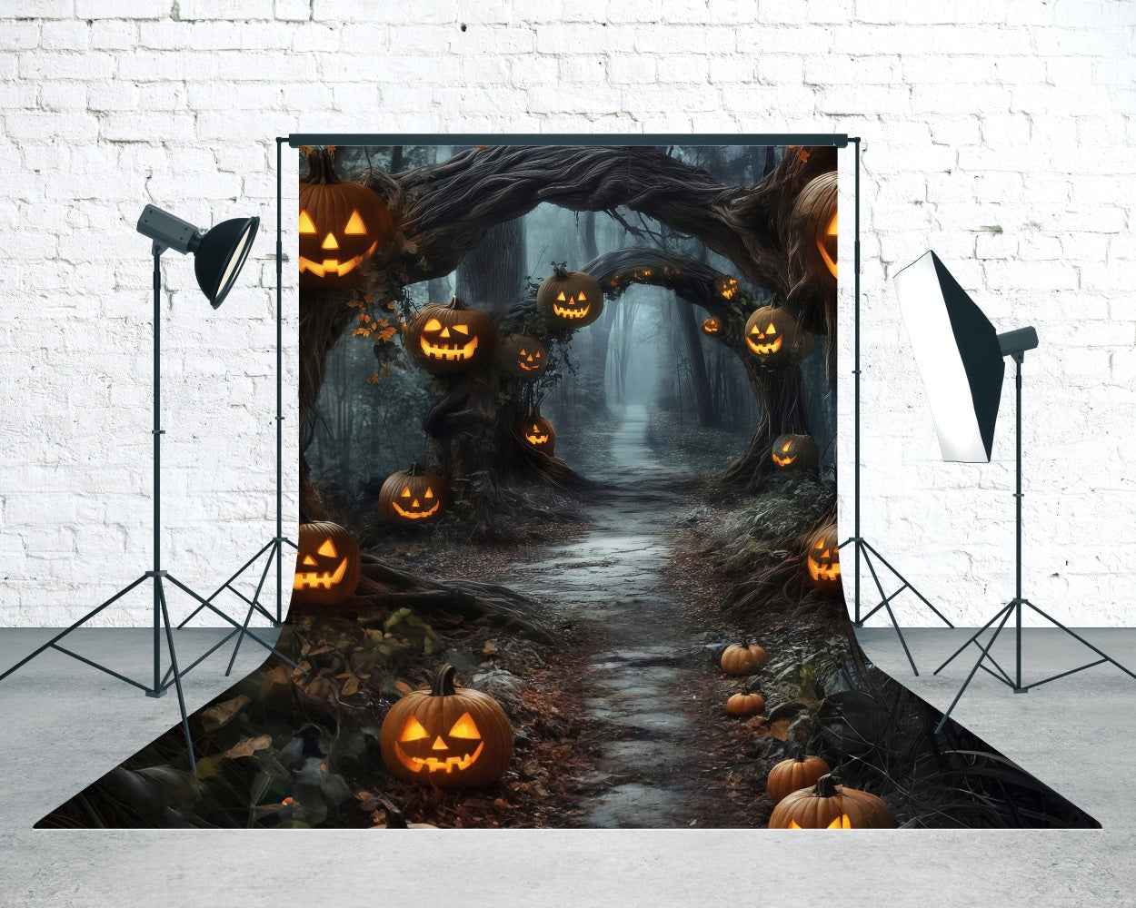 Toile de fond Sweep Halloween Photo Lumières Citrouille Arches de Vignes Sentier en Forêt MRR8-69