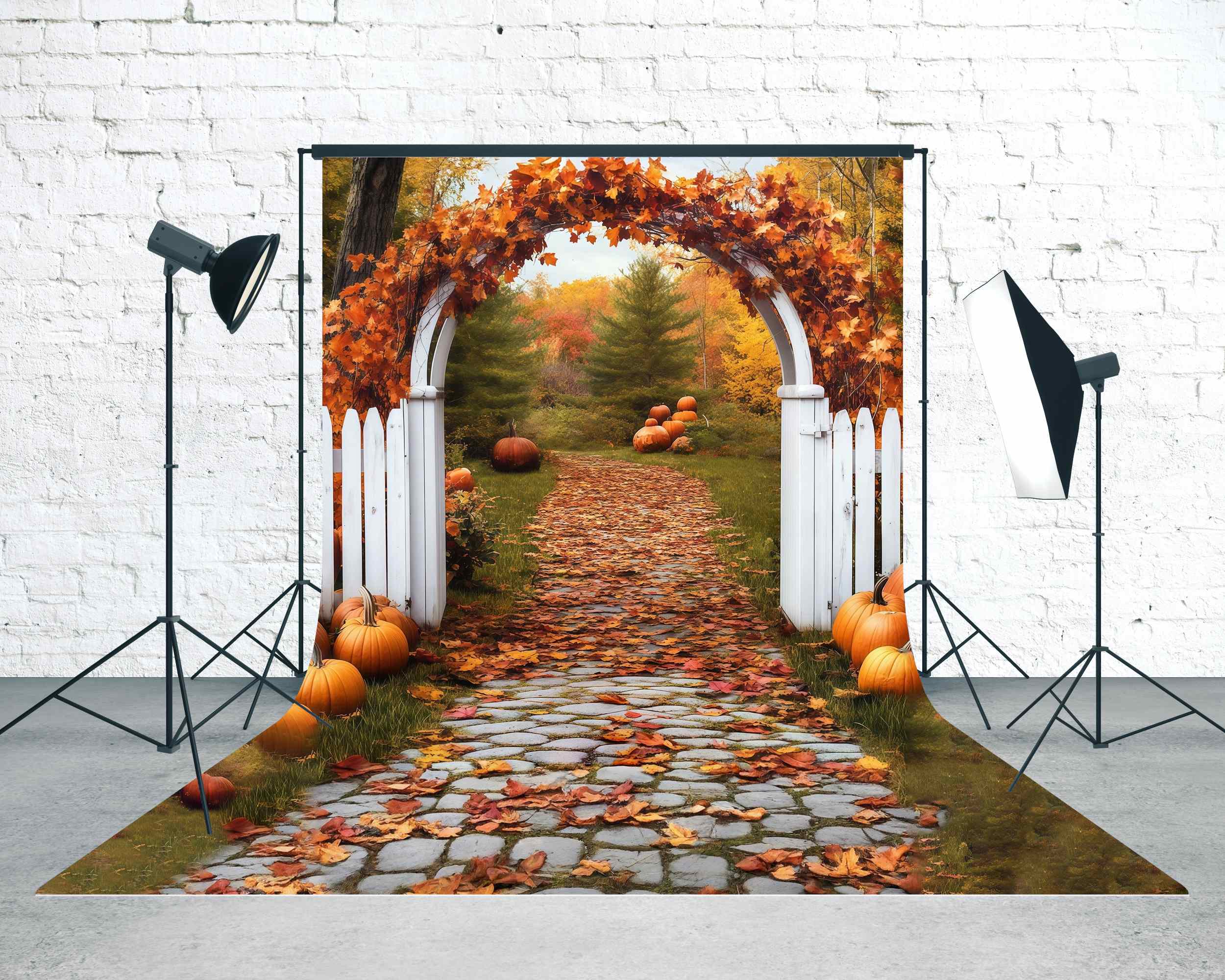 Toile de fond Sweep Feuilles d’Automne Portail Arche Feuilles MRR8-73