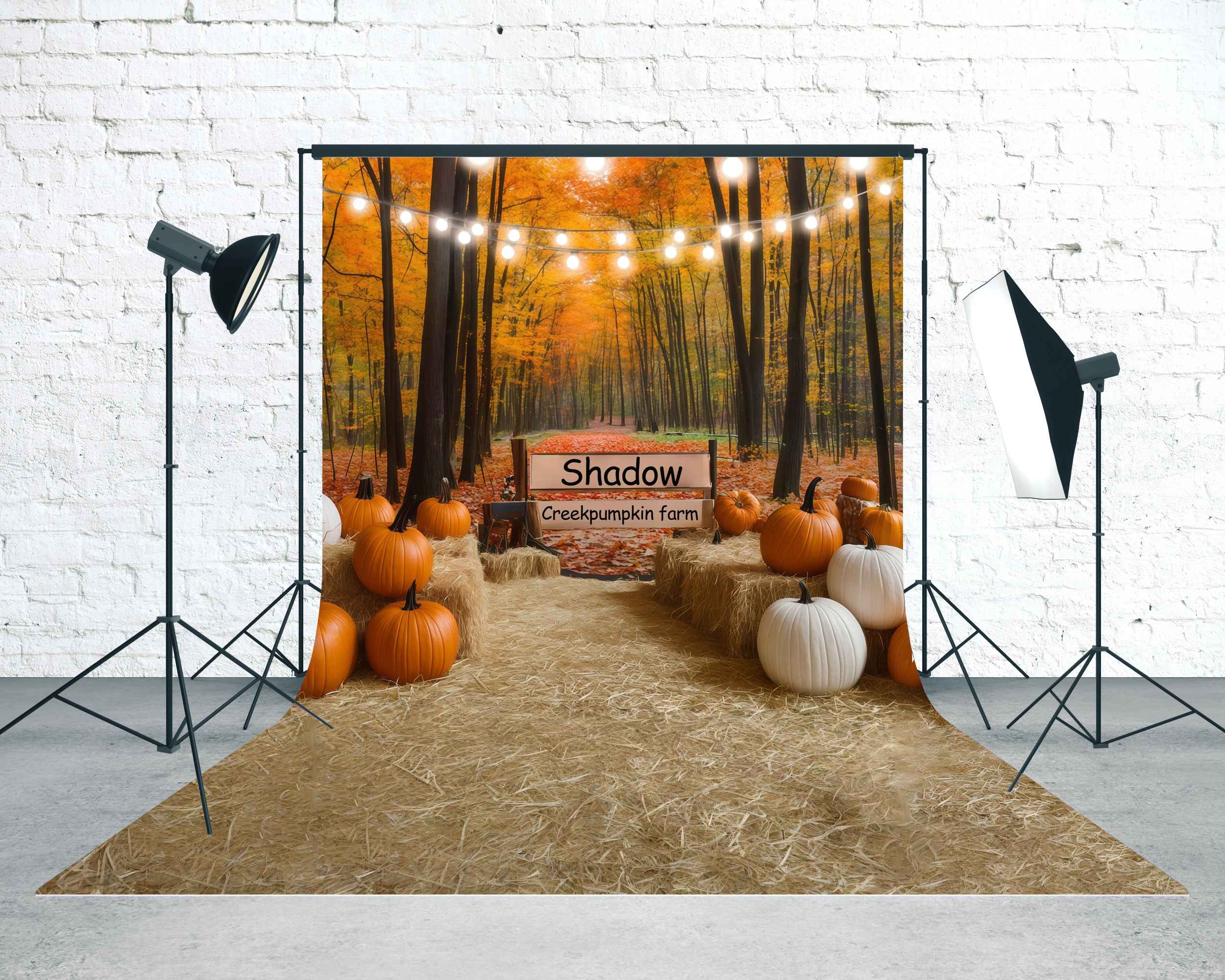 Toile de fond Sweep Automne Ruisseau Ombragé Ferme à Citrouilles MRR8-74