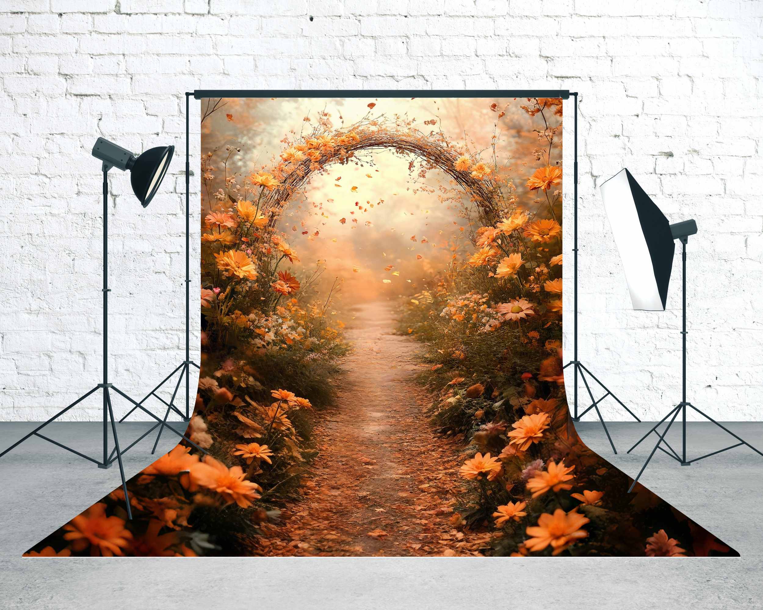 Toile de fond Sweep Automne Idées Arche Pétales Dorés Sentier Féérique MRR8-82