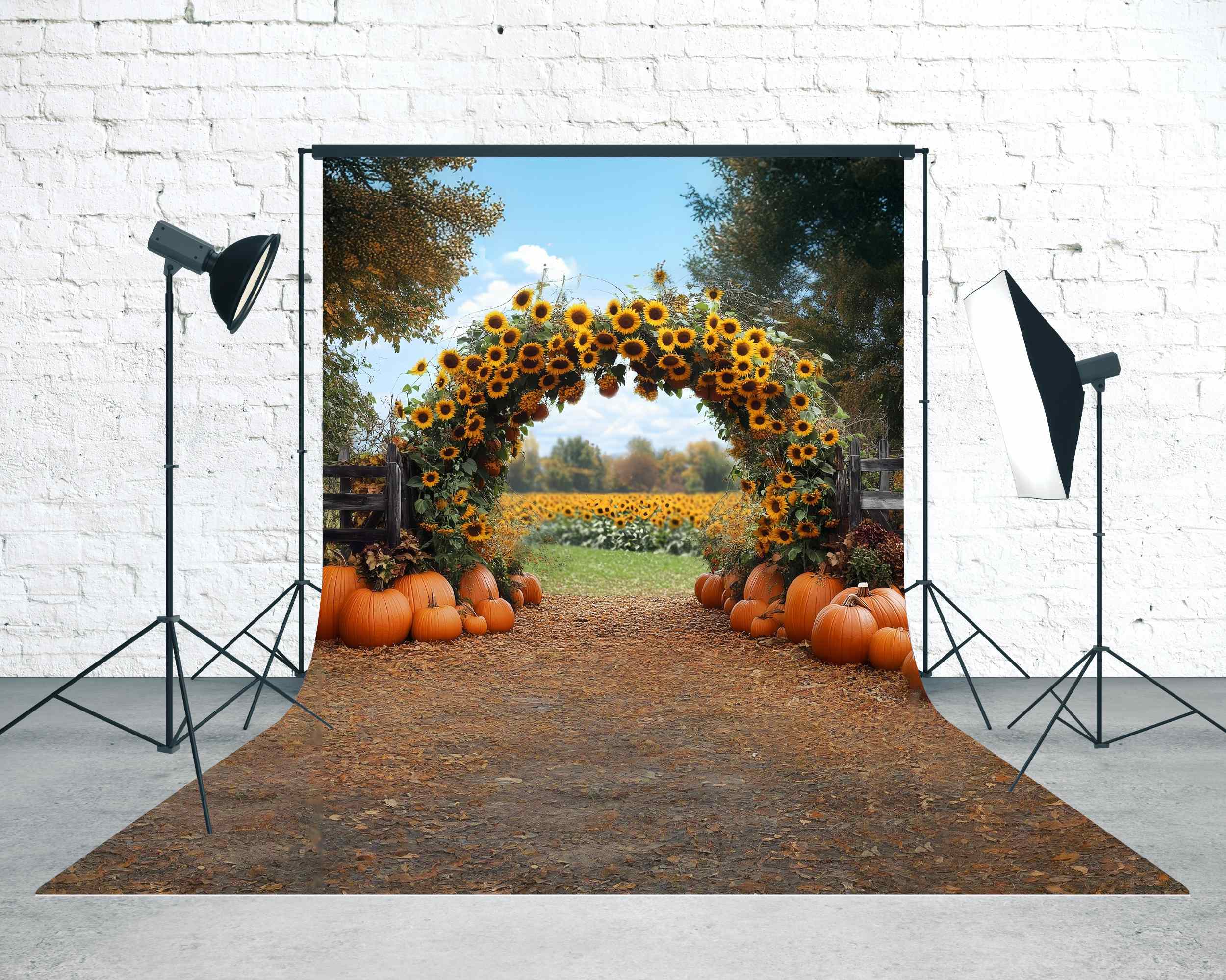 Toile de fond Sweep Automne Arche Tournesols Citrouilles MRR8-86