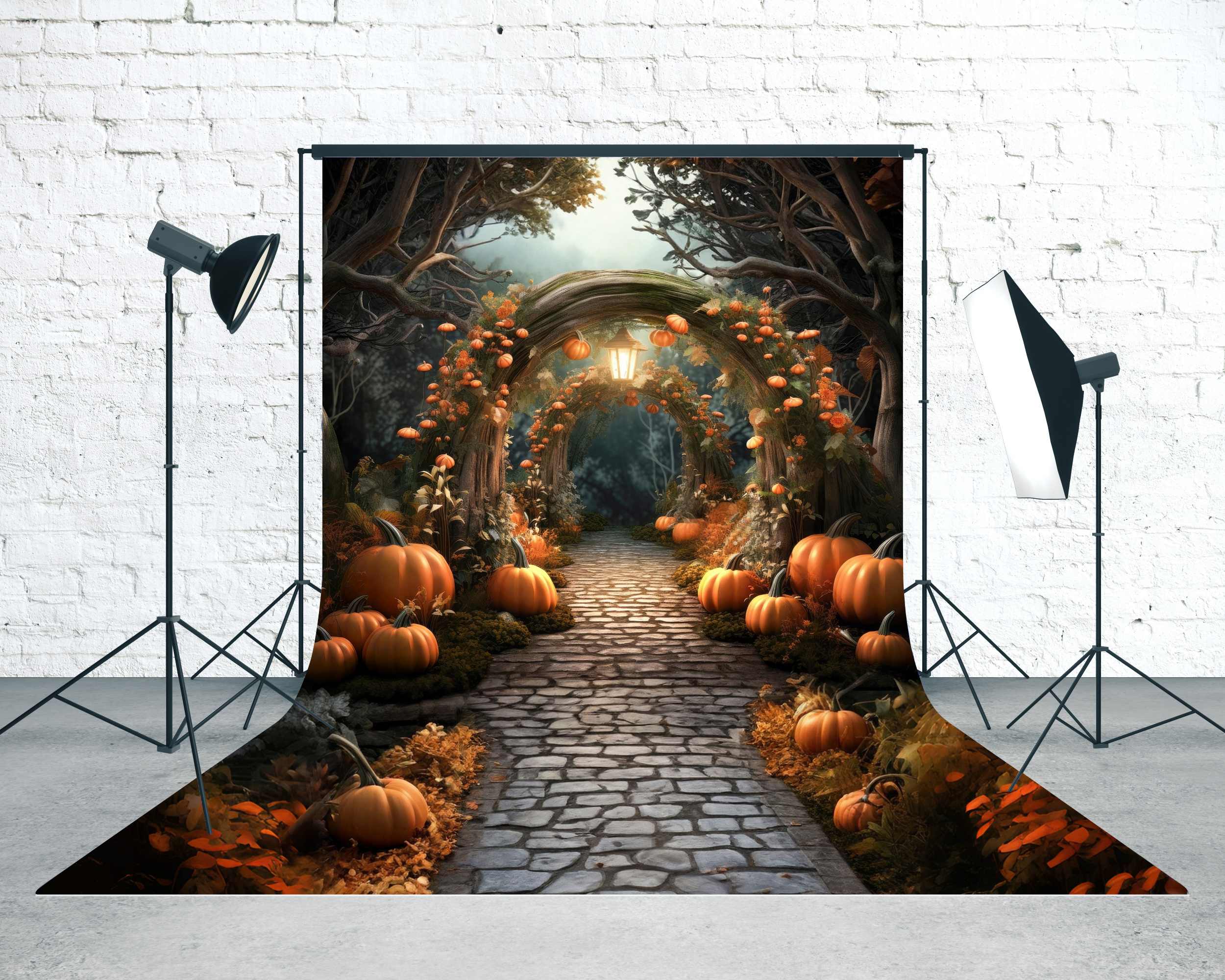 Toile de fond Sweep Feuilles d’Automne Sentier Arche Citrouilles Enchantées MRR8-92