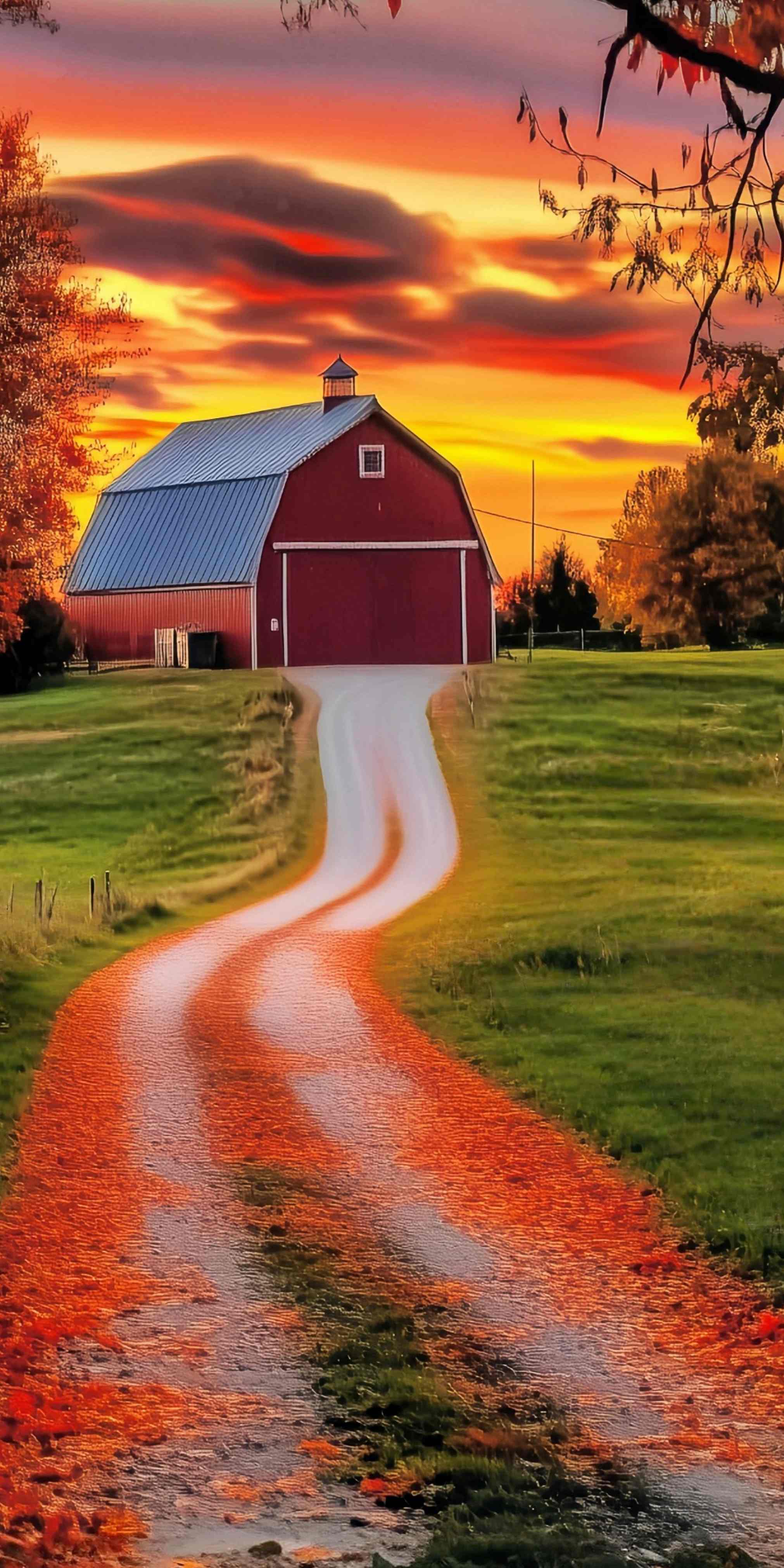 Toile de fond Sweep Automne Ferme Route Coucher de Soleil Doré MRR8-94