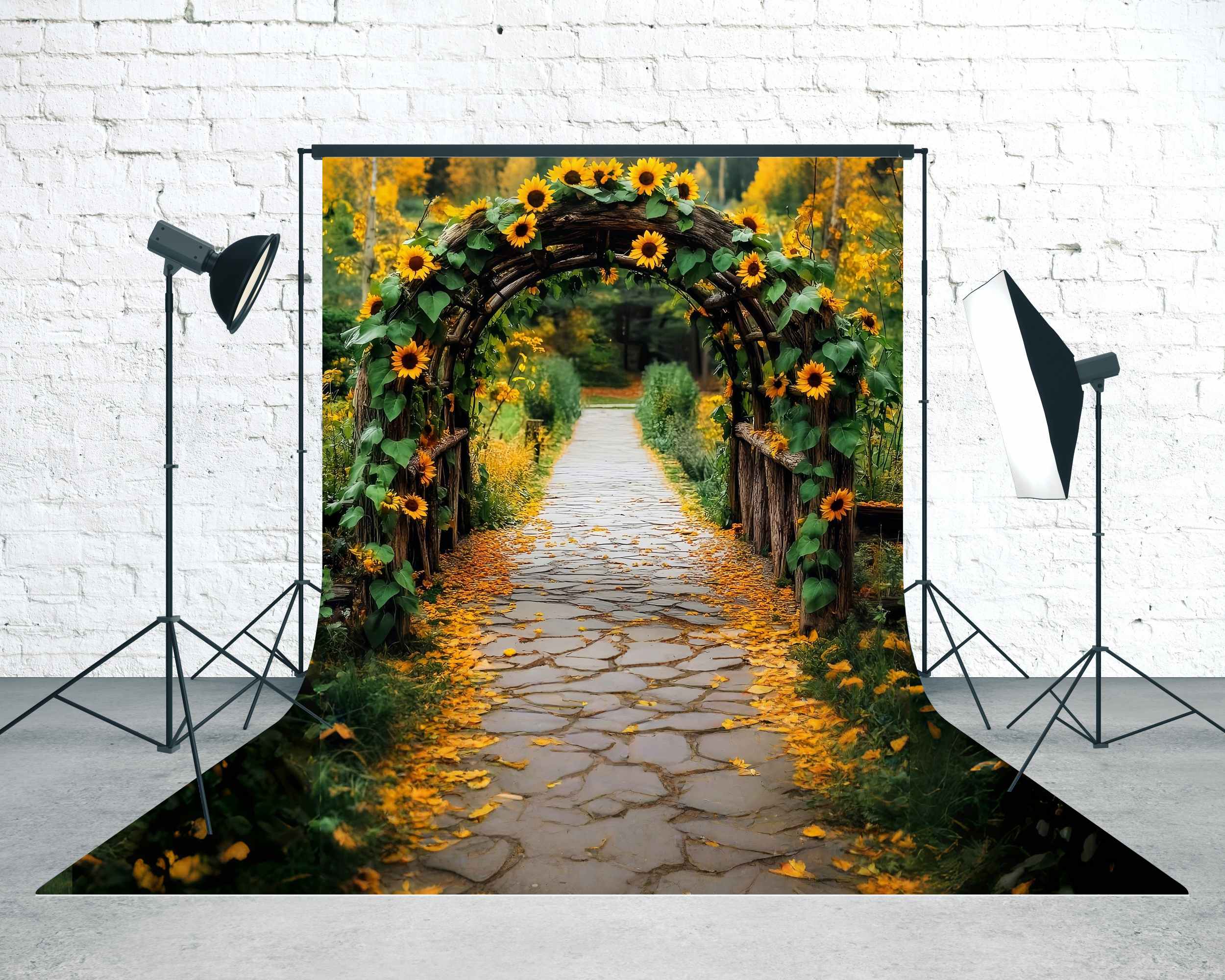 Toile de fond Sweep Automne Arche Rustique Tournesols Sentier MRR8-96