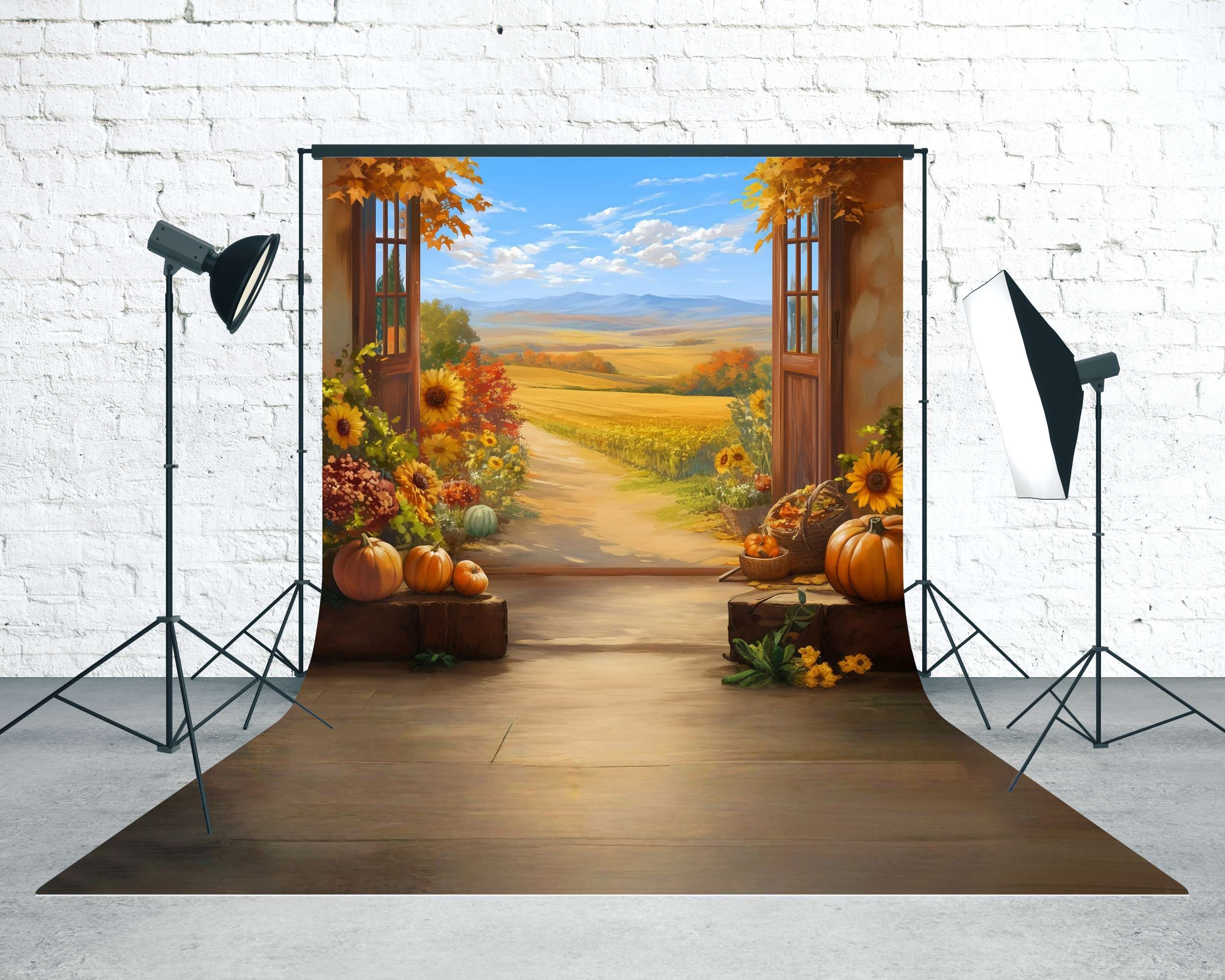 Toile de fond Sweep Feuilles d’Automne Fenêtre Automnale Vue Ferme Sentier MRR8-98