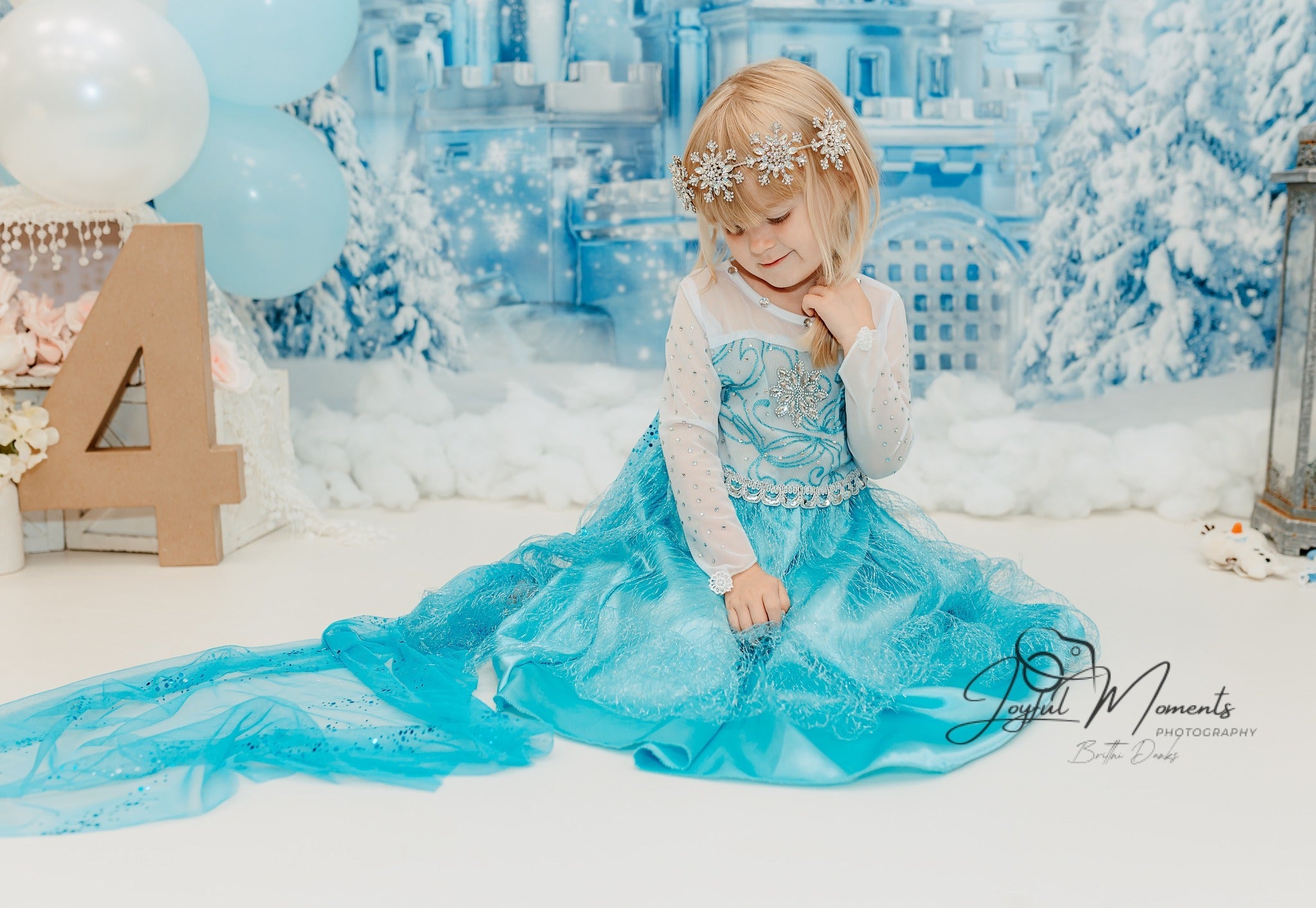 Toile de fond Hiver Château de Glace Conte de Fées MRR9-10