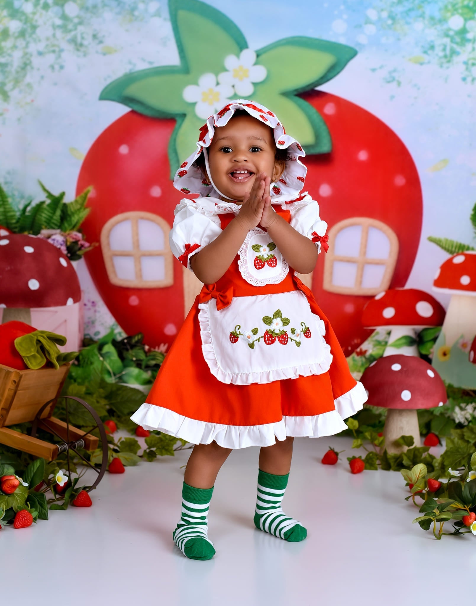 Toile de fond Bébé Maison Fraise Jardin Féerique MRR9-12