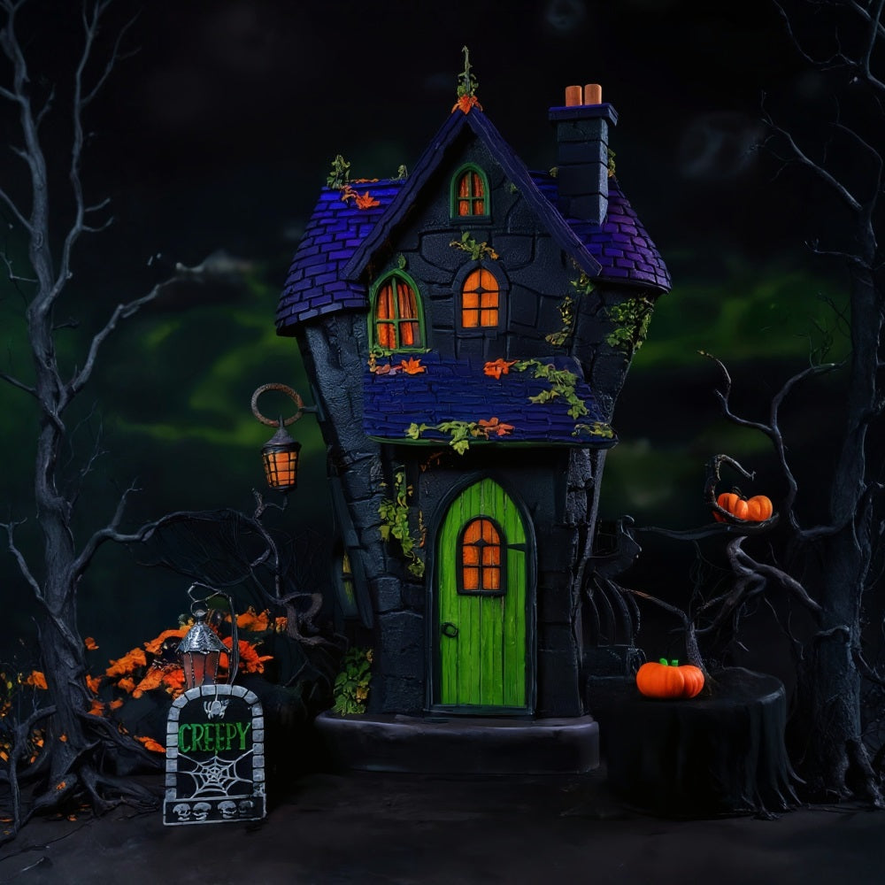 Toile de fond Halloween Maison Hantée Porte Verte Lumières Halloween MRR9-131