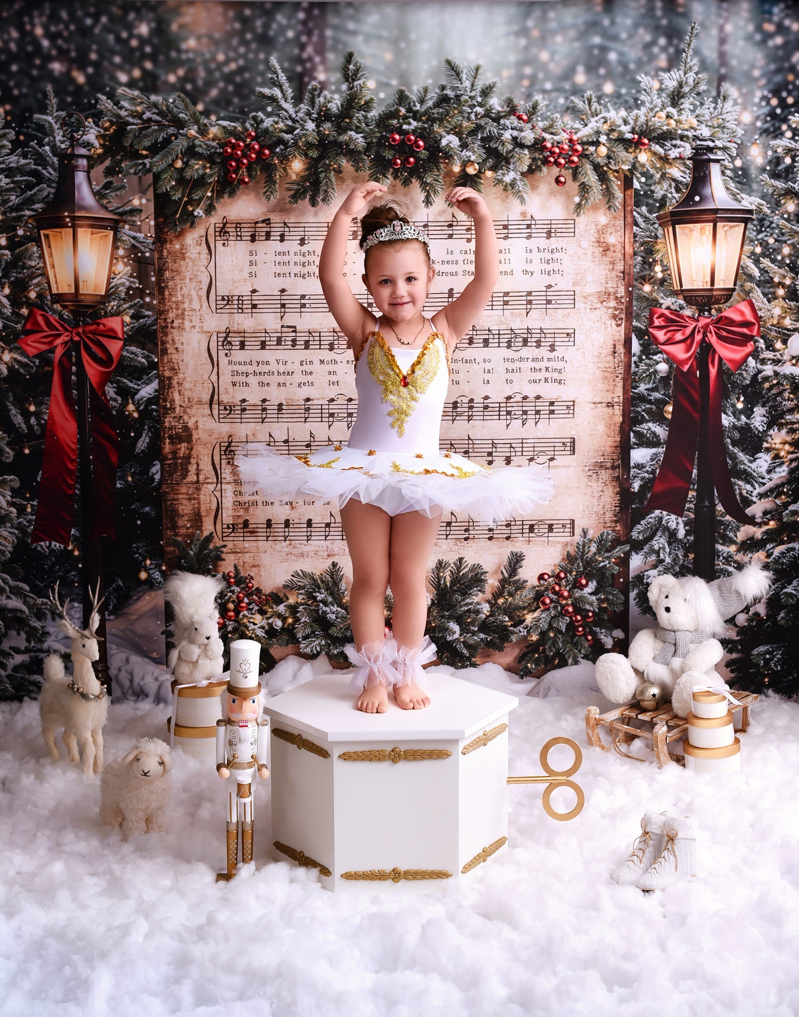 Toile de fond Noël Chant de Noël Neige Joy To The World MRR9-24