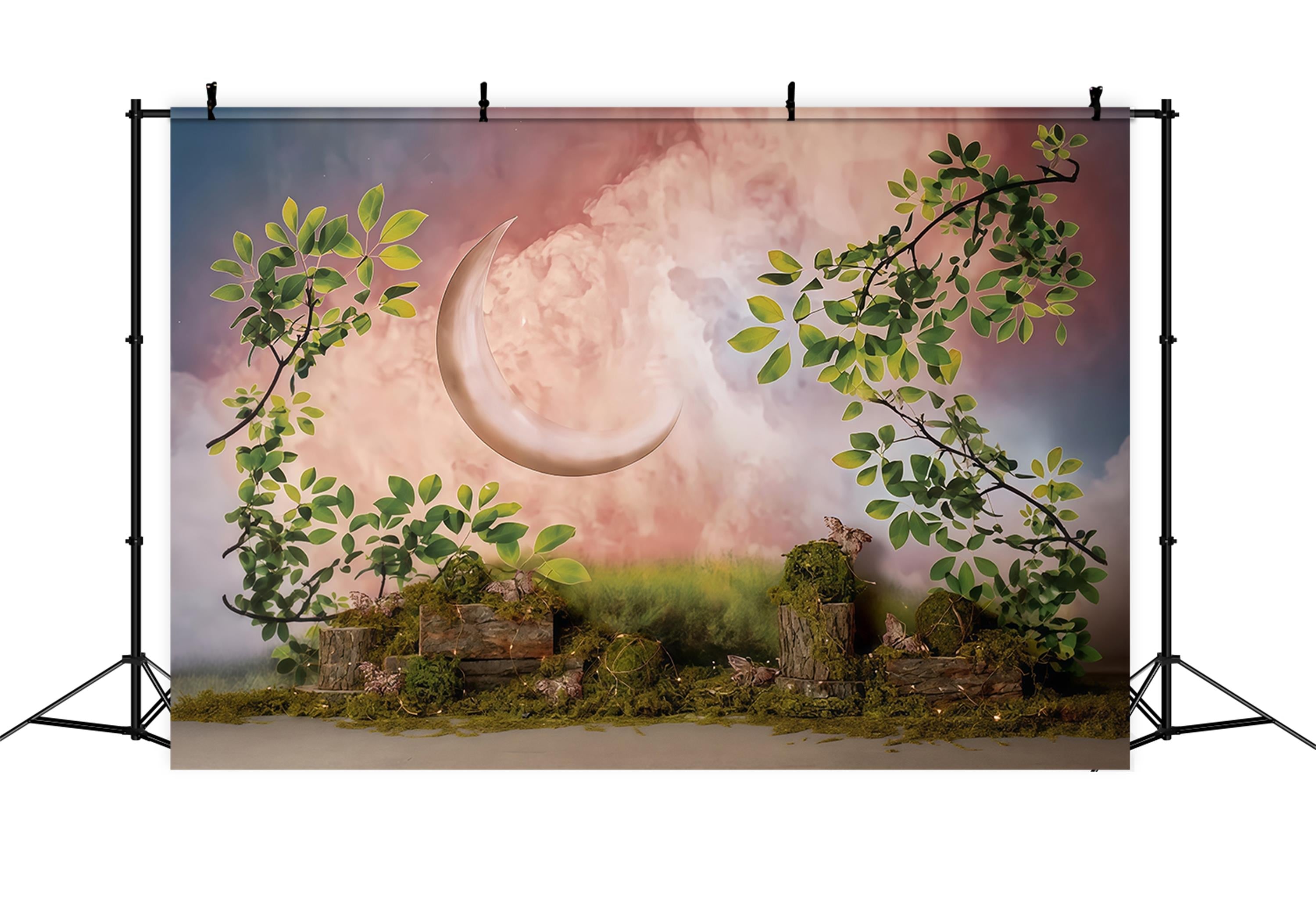 Toile de fond Enfants Lune Croissant Enchantée Jardin Nouveau-Né MRR9-39