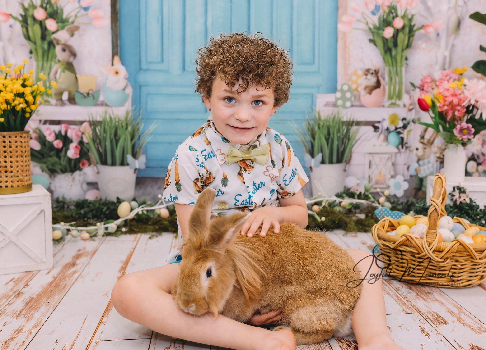 Toile de fond Pâques Lapin Pastel Porte de Pâques Décor MRR9-7