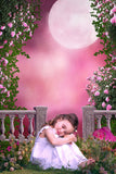 Toile de fond Pleine Lune Fantaisie Rose Pétunia Jardin RR3-02