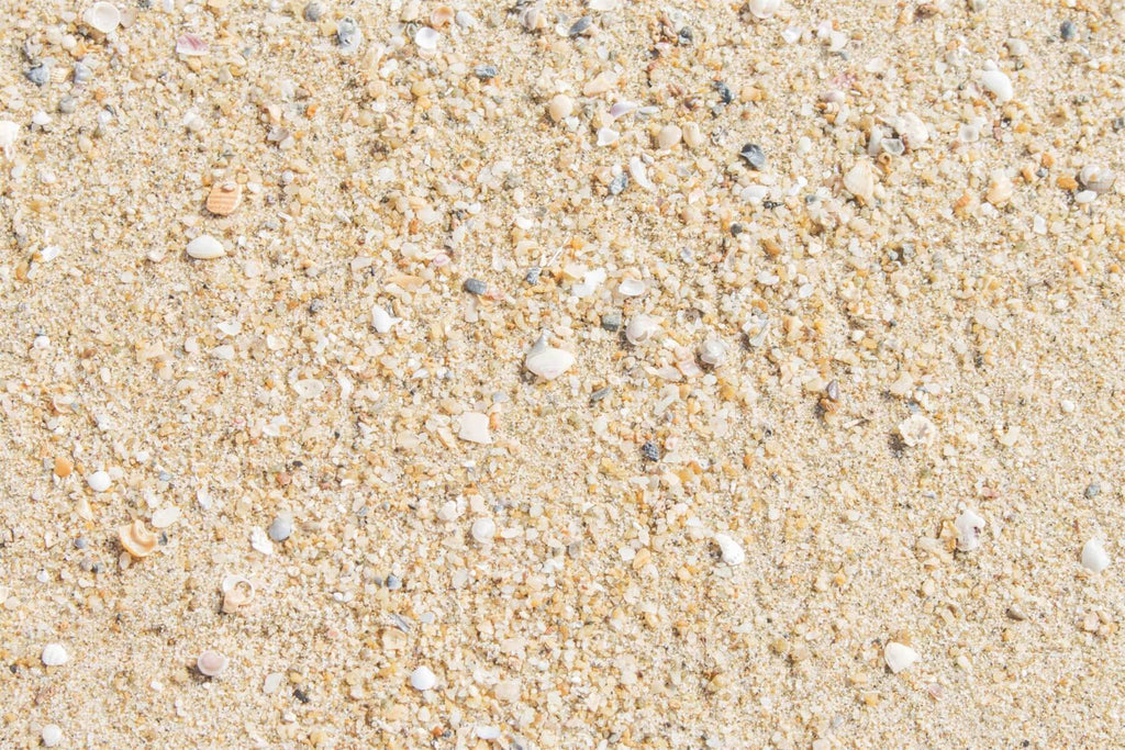 Tapis de sol en caoutchouc Coquillages & Grits sur la plage RM12-67