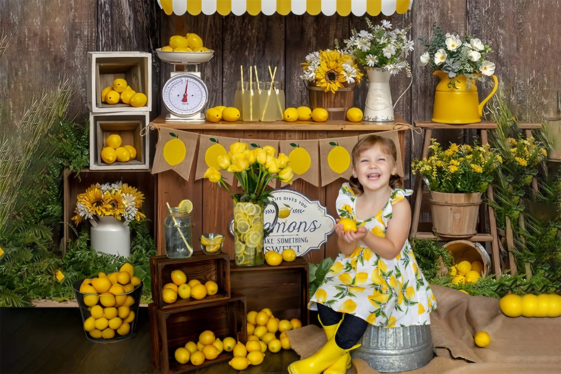 Toile de fond pour stand de vente de citrons à la planche d'été RR3-24