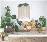 Esthero Toile de fond pour scène de maison minimaliste avec verdure printanière RR3-37