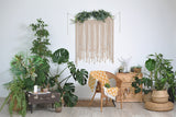 Esthero Toile de fond pour scène de maison minimaliste avec verdure printanière RR3-37