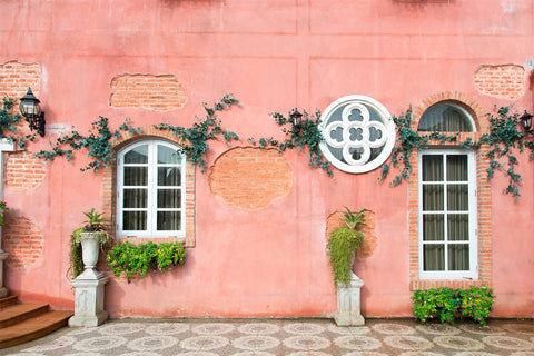 Toile de Fond Mur de Briques Roses et Fenêtre Blanche donnant sur la Rue RR5-8