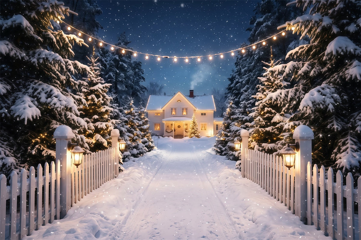 Fond Photo De Noël Allée Maison Blanche Enneigée RR610-122