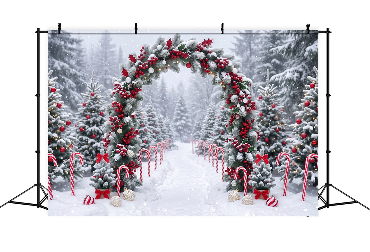 Fond Photo De Noël Arche Guirlande Baies Enneigées RR610-125