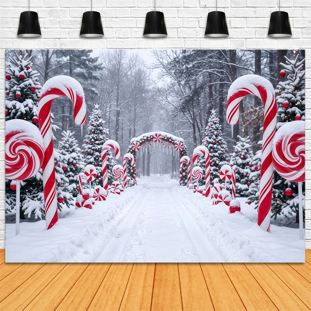 Fond De Noël Bonbons Sucre Sentier Forestier Enneigé RR610-126