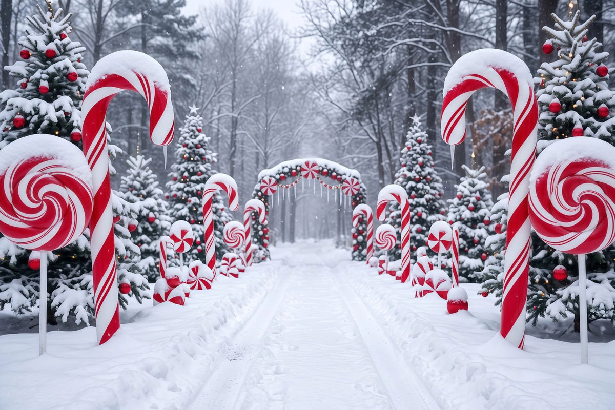 Fond De Noël Bonbons Sucre Sentier Forestier Enneigé RR610-126