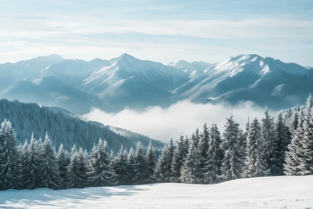 Fond De Noël Pays Hivernal Forêt Brumeuse Montagnes Enneigées RR610-159