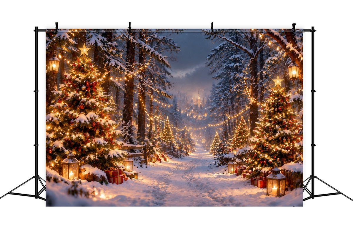 Fond Photo Ferme De Sapins Sentier Forestier Enneigé Lumineux RR610-181