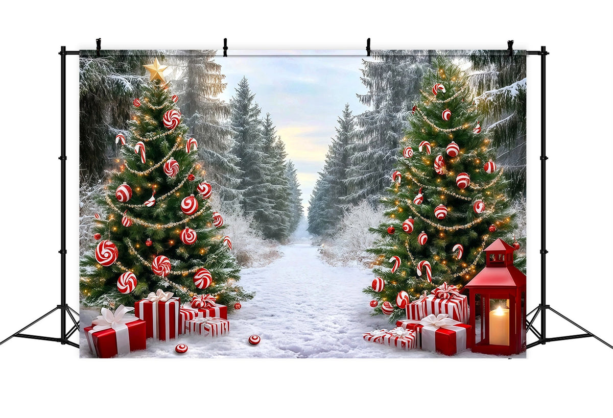 Fond De Noël Classique Sentier Forêt Bonbons Sucre RR610-50